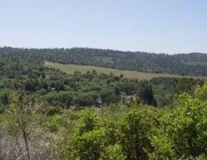 Red Hills