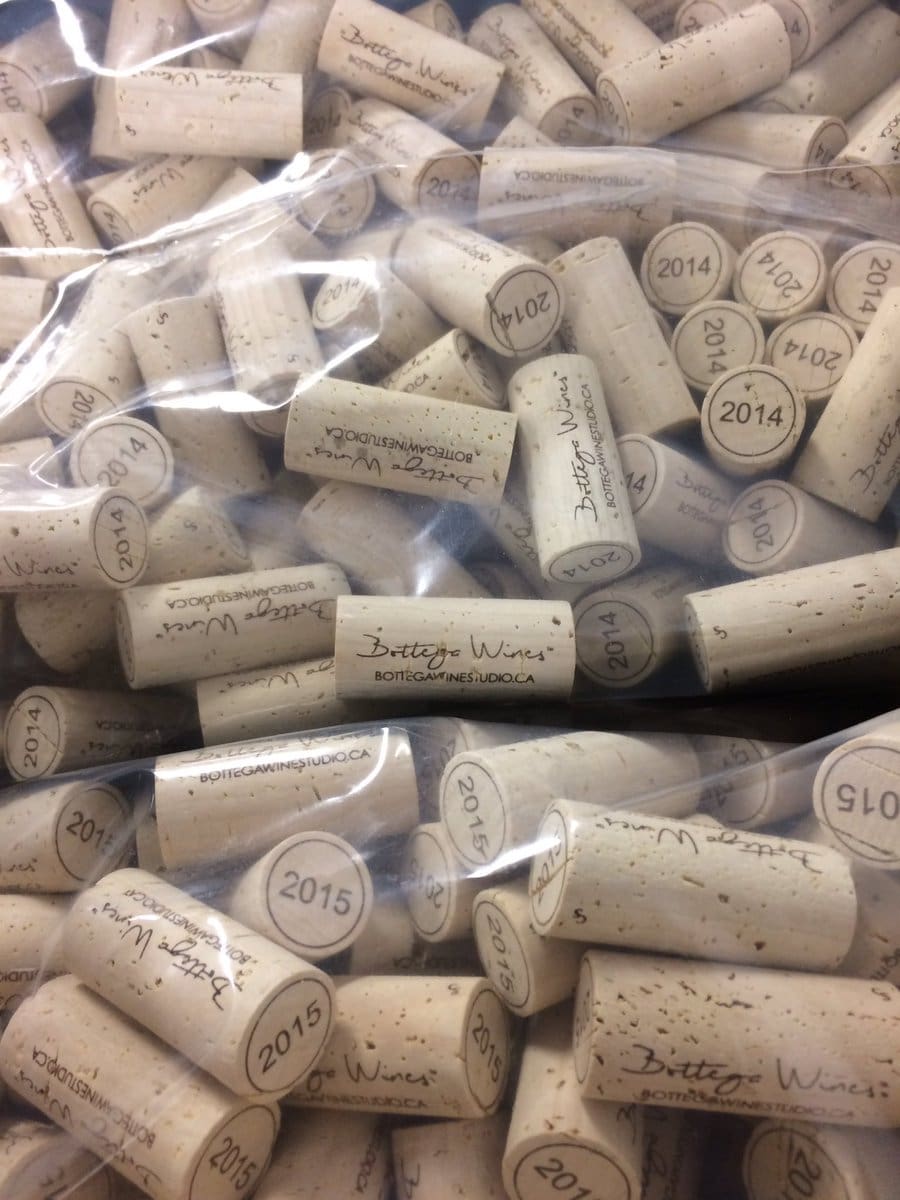Bottega Wines