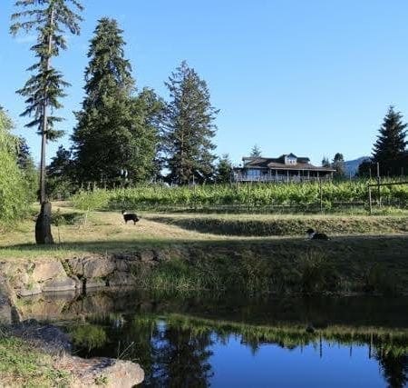 Millstone Winery