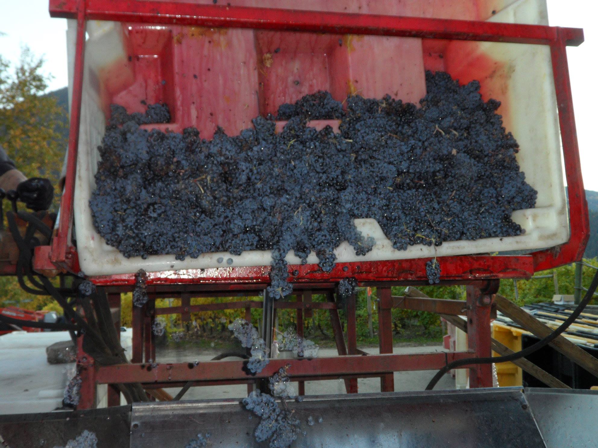 Recline Ridge Winery