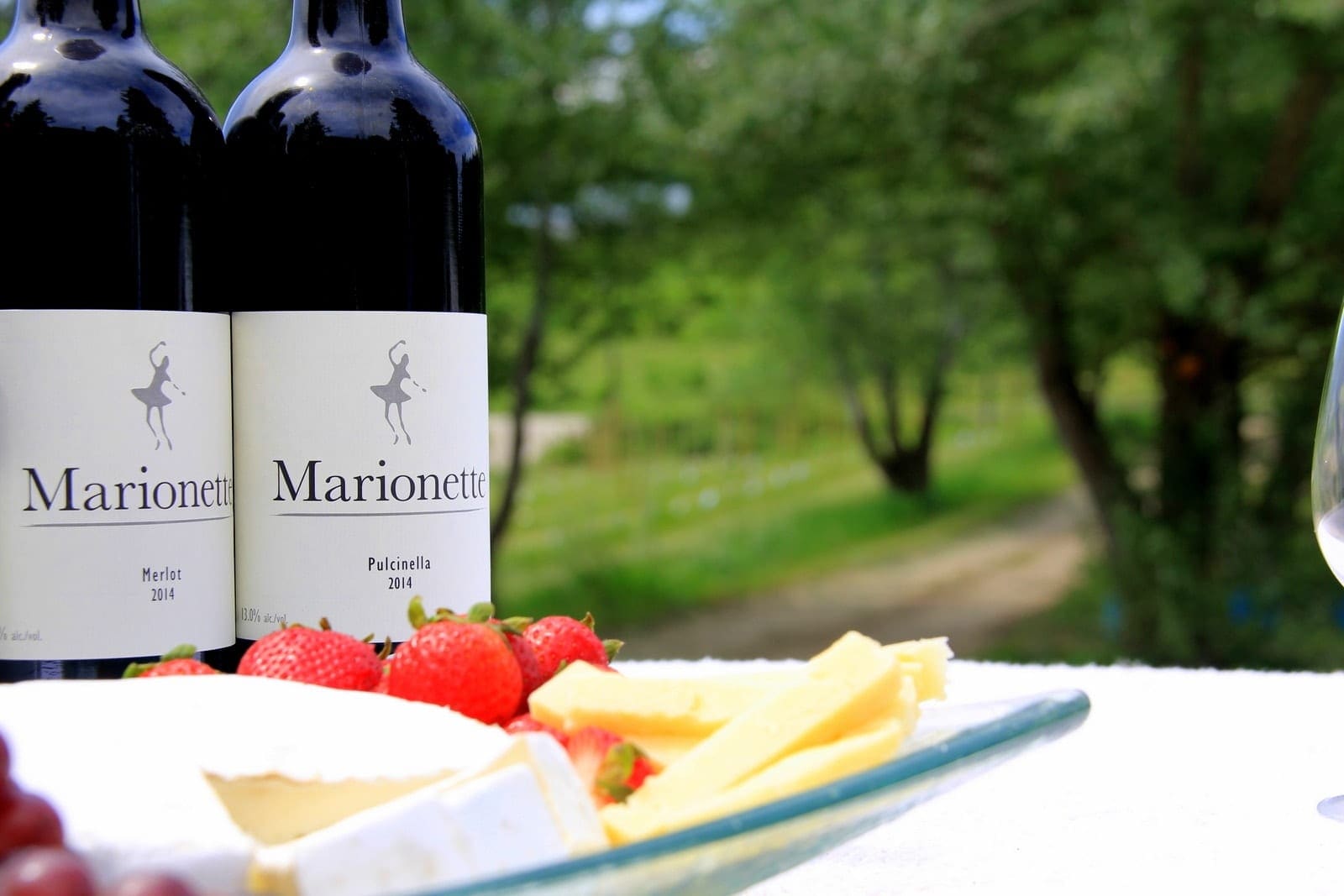 Marionette Winery