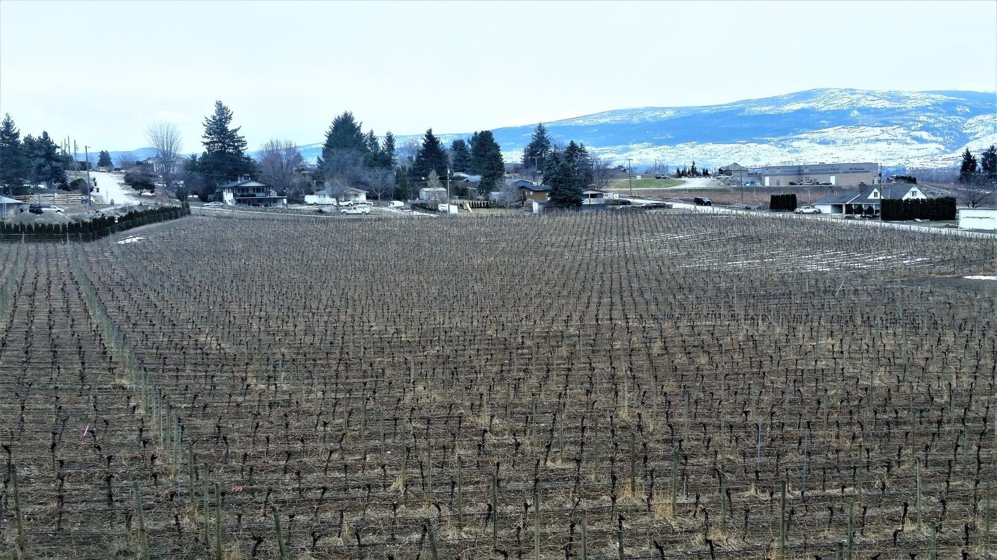 Beaumont