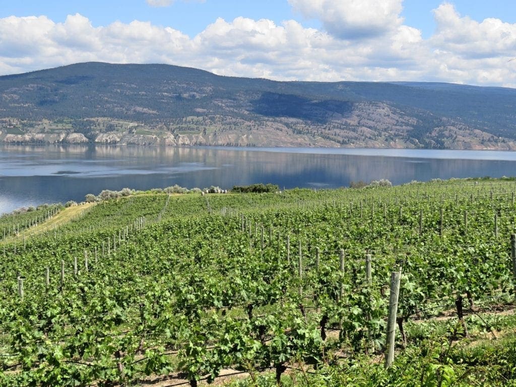Evolve Cellars