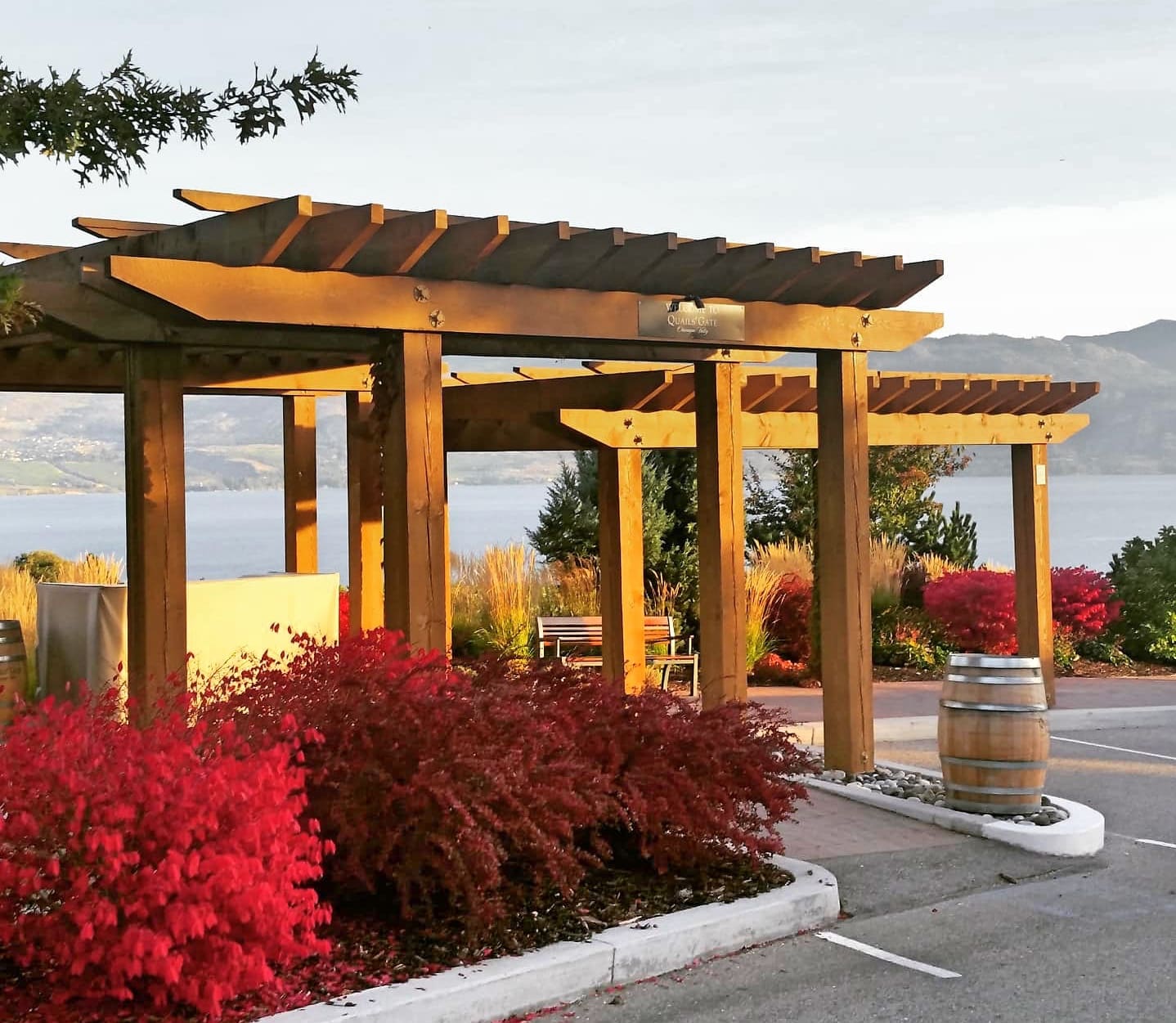 Quail's Gate Winery