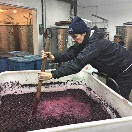Alderlea Harvest 2018