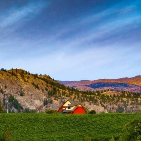River Stone Estate Winery