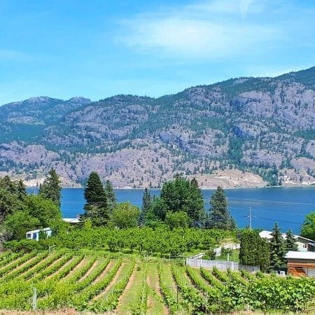 Black Market view of Skaha Lake