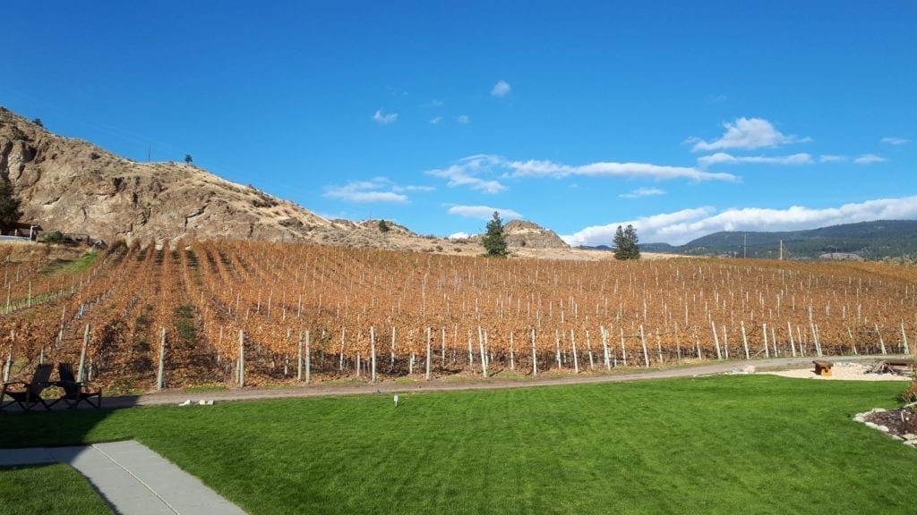 McLean Creek Road Vineyard, Okanagan Falls, BC